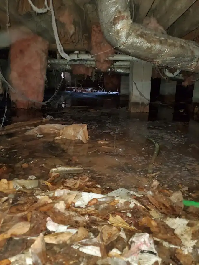 Crawl space flood assessment for Commercial Water Damage Restoration in Douglass